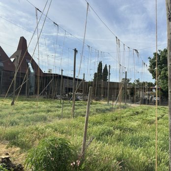 Ruhstaller Farm - Walking up towards the outdoor music venue. - Breweries Near Me - Dixon, California Ruhstaller Farm - Walking up towards the outdoor music venue. - Breweries Near Me - Dixon, California