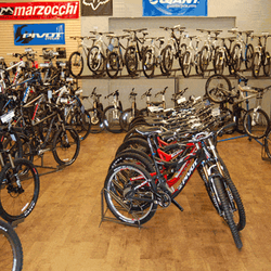 user provided Go-Ride photo