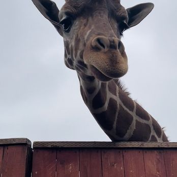 Wildlife Learning Center - Zoos Near Me - Sylmar, California