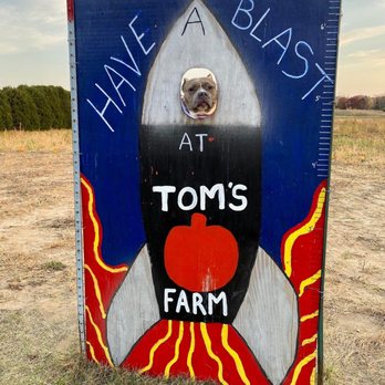 Toms Pumpkin Farm - Photo ops - Pumpkin Patches Near Me - Lindstrom, Minnesota Toms Pumpkin Farm - Photo ops - Pumpkin Patches Near Me - Lindstrom, Minnesota