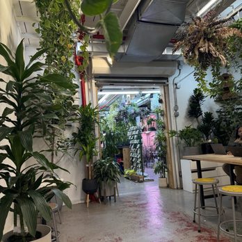 9 Tails - Coffee & Tea Near Me - New York, New York