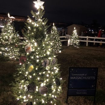 National Christmas Tree - Local Flavor Near Me - Washington, DC, District of Columbia National Christmas Tree - Local Flavor Near Me - Washington, DC, District of Columbia