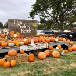 Oehlerking Punkin Patch