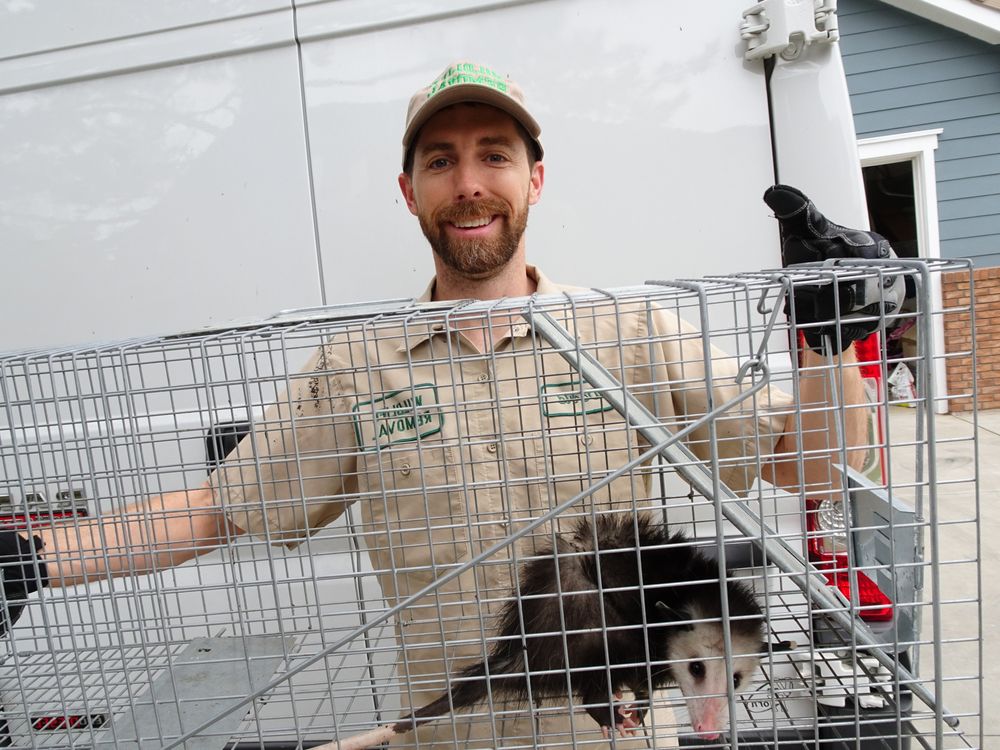 WILDLIFE TRAPPER PRO - Updated June 2026 - Request a Quote - 19 Photos