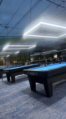 The Pool Turtle by null