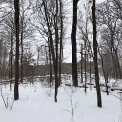 De Veaux Woods State Park