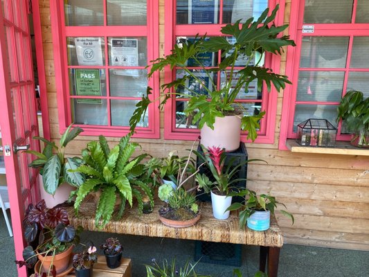 Le Dix-Sept Pâtisserie by null