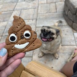 Dippin' Dots - Poop emoji dog treat