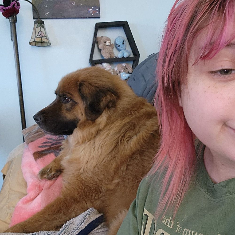 HAVEN SALON + SPA Updated July 2024 10 Reviews S76W17789