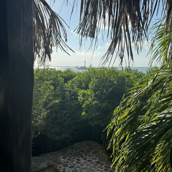 Havana Cigars - Beautiful View - Tobacco Shops Near Me - Cancún, ROO