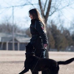 Live Well Dog Training