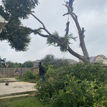 Jaime Tree Services - Tree Services Near Me Jaime Tree Services - Tree Services Near Me