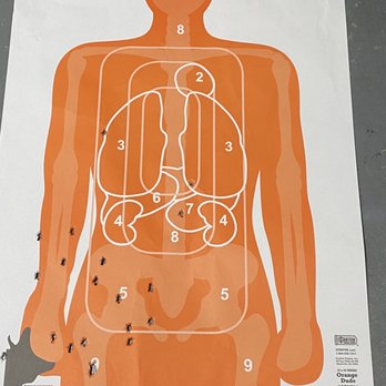 Florida Firearms Academy - Guns & Ammo Near Me - Tampa, Florida Florida Firearms Academy - Guns & Ammo Near Me - Tampa, Florida