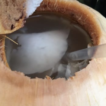 Vital Root - Inside the fresh coconut - Vegetarian Near Me - Denver, Colorado