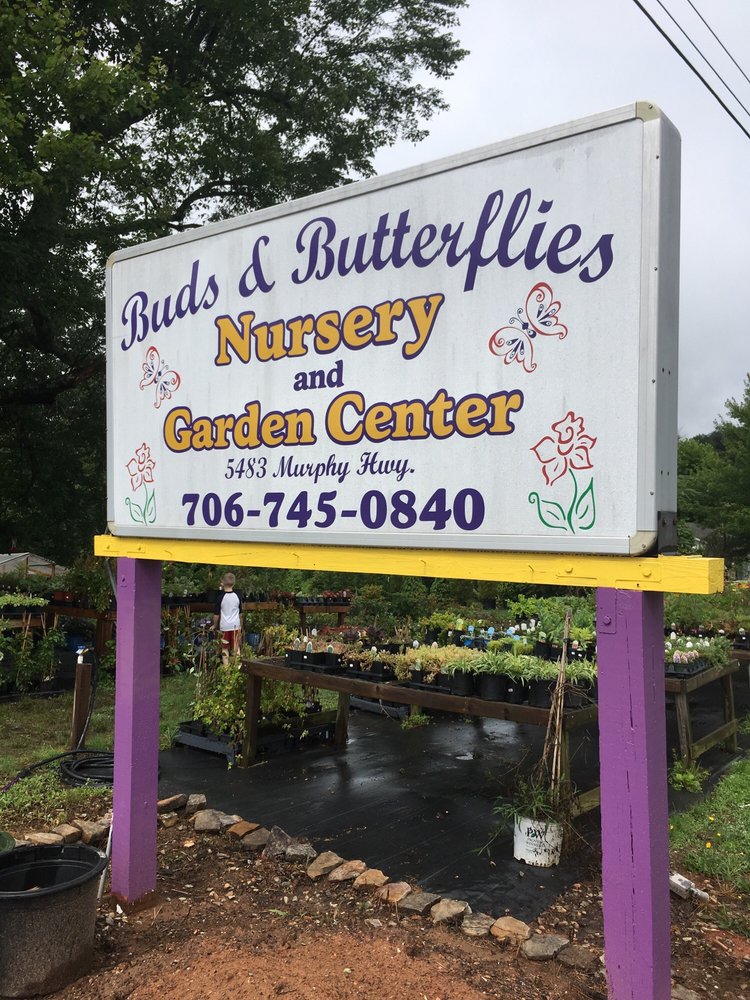 BUDS & BUTTERFLIES NURSERY AND GARDEN CENTER Updated June 2024 5483
