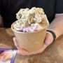 Photo of Taste Buds
