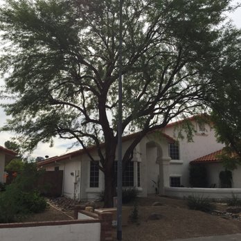 Et's Tree Service - Tree Services Near Me Et's Tree Service - Tree Services Near Me