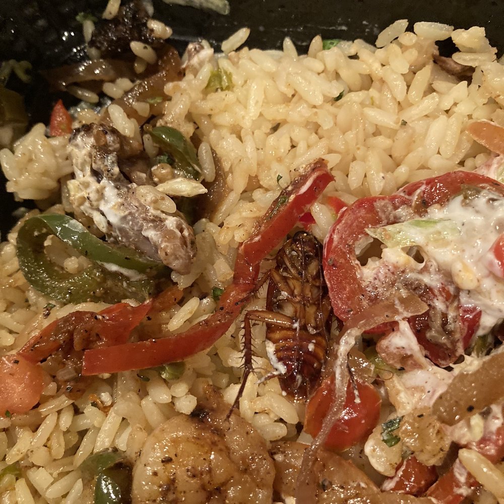 Roach in the shrimp fajitas. Disgusting Roach in the shrimp fajitas. Disgusting