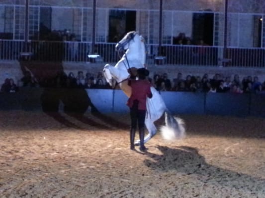 Caballerizas Reales by null