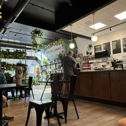 Zz Coffee Shop