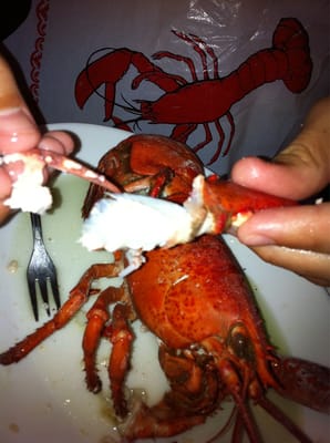 Kelly's Landing New England Seafood by null