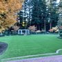 Photo of Artificial Grass Pros