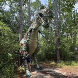 Dinosaurs In The Woods - T-Rex