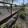 Photo of Guy's Fencing