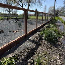 Guy's Fencing - Our front fence