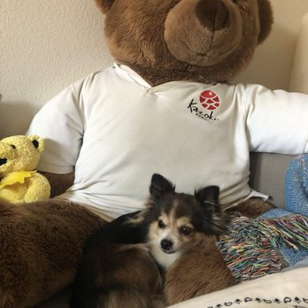 Overland Veterinary Clinic - Veterinarians Near Me - Los Angeles, California