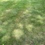 Photo of Quest Landscapes
