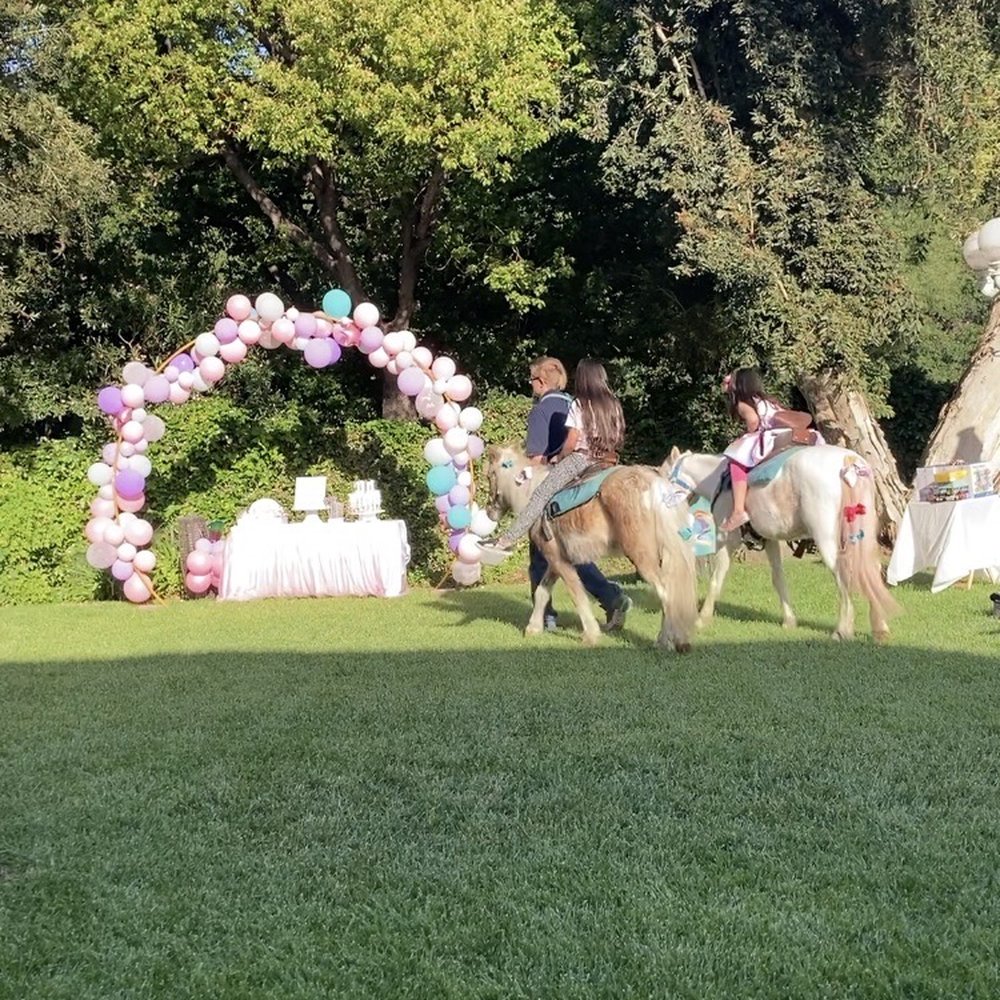 Pony rides Pony rides