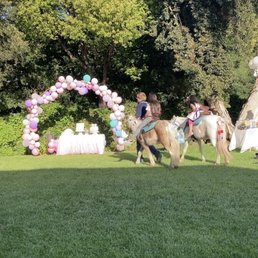 Pony rides
