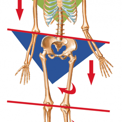 Frederick Chiropractic Wellness Center