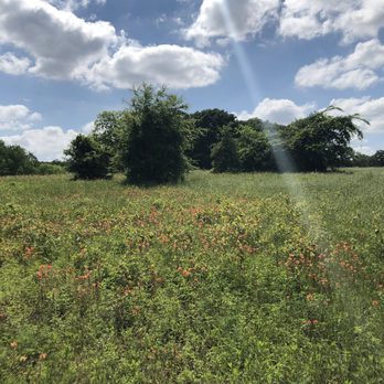 Elmer W. Oliver Nature Park - Hiking Near Me - Mansfield, Texas