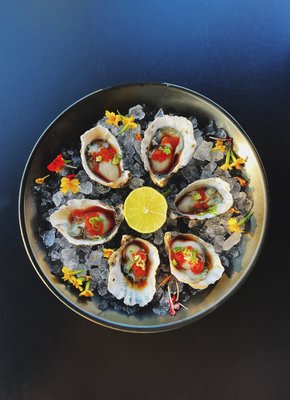 Buddha's Favorite by null