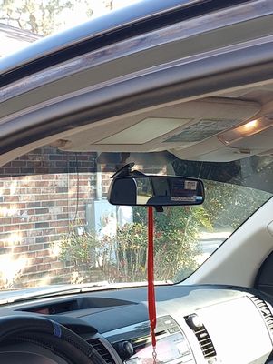 Extreme Tint and Sound