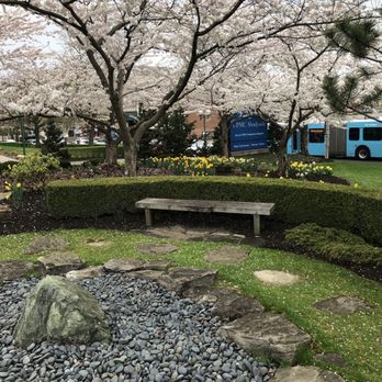Mary Hillman Jennings Radiation Oncology - Garden - Oncologist Near Me - Pittsburgh, Pennsylvania Mary Hillman Jennings Radiation Oncology - Garden - Oncologist Near Me - Pittsburgh, Pennsylvania