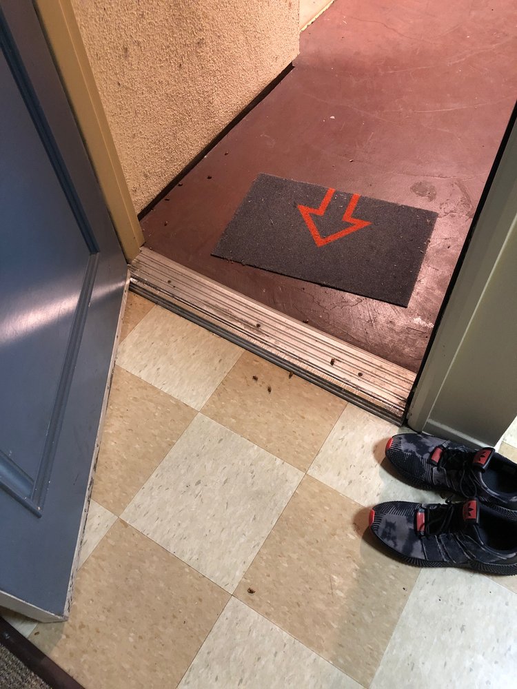 WEYBURN TERRACE APARTMENTS UCLA GRADUATE HOUSING Updated September