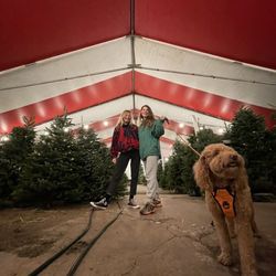 BEST CHRISTMAS TREES - Chauvet Tree Farms