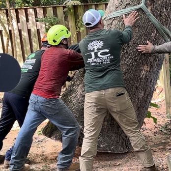 JC Tree Services, LLC - Tree Services Near Me - Silver Spring, Maryland