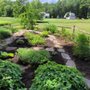 Photo of Earth Gardeners