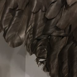 Fish & Wildlife Unlimited Taxidermy