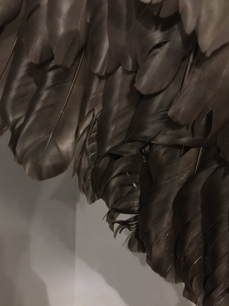 Fish & Wildlife Unlimited Taxidermy - taxidermy in Oakdale, NY