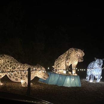 Zoolights - Zoos Near Me - Phoenix, Arizona