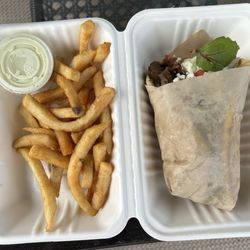 Demo's Grille - Lamb/beef gyro with French fries and tzatziki sauce