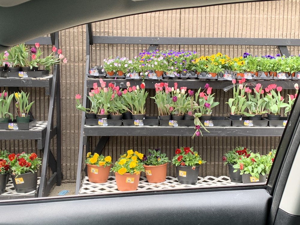 OCEAN STATE JOB LOT with 10 Reviews & 42 Photos 201 College Hwy