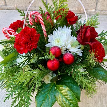 Albert's Florist - Candy Cane Lane Holiday Basket - Florists Near Me - San Luis Obispo, California Albert's Florist - Candy Cane Lane Holiday Basket - Florists Near Me - San Luis Obispo, California