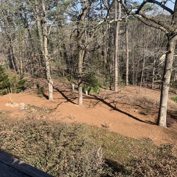 Diamond Lawn - Brush Cleaned and Mulch - Landscaping Near Me Diamond Lawn - Brush Cleaned and Mulch - Landscaping Near Me