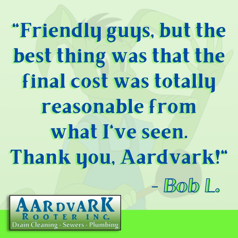Slide of Aardvark Rooter